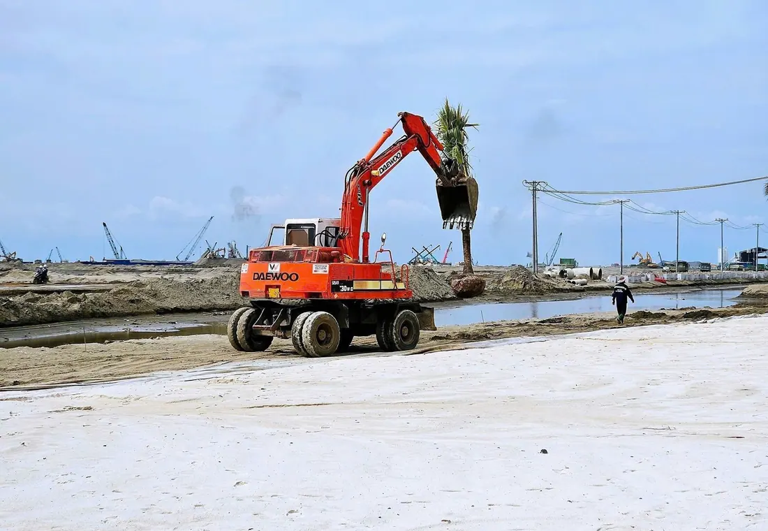 Hình ảnh thực địa dự án Cần Giờ 3